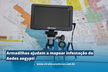 Armadilhas ajudam a mapear infestação do Aedes aegypti