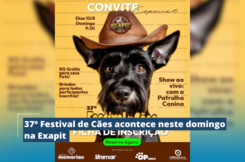 37º Festival de Cães acontece neste domingo na Exapit 