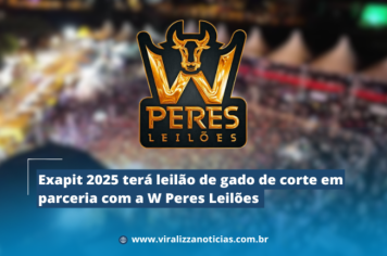 Exapit 2025 terá leilão de gado de corte em parceria com a W Peres Leilões 